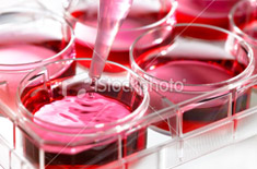chemisty